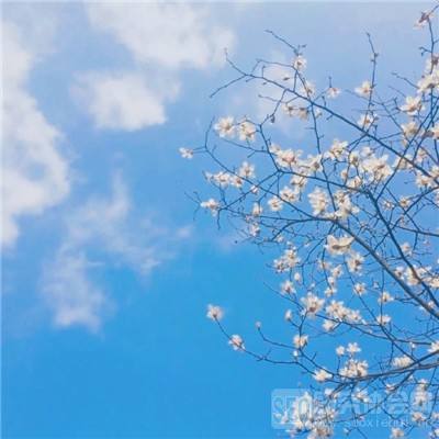 不要掉队手机版下载