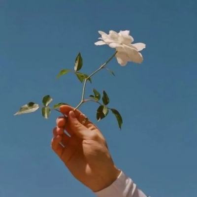 九游暴走皮卡丘游戏下载